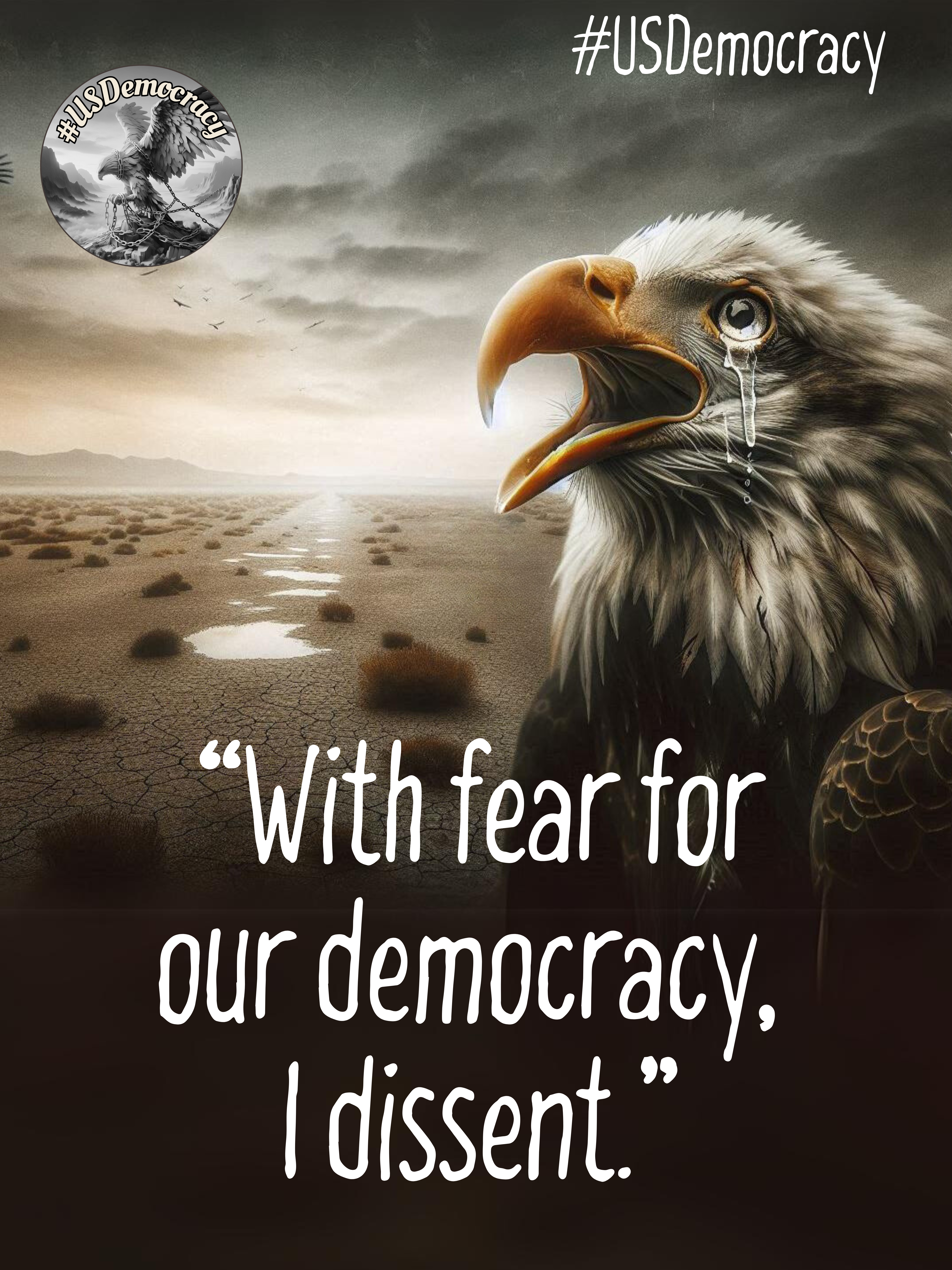 With_fear_for_our_democracy_I_dissent._20240701_132347_0000.png